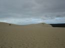 Bild: Oben auf der Dune du Pyla